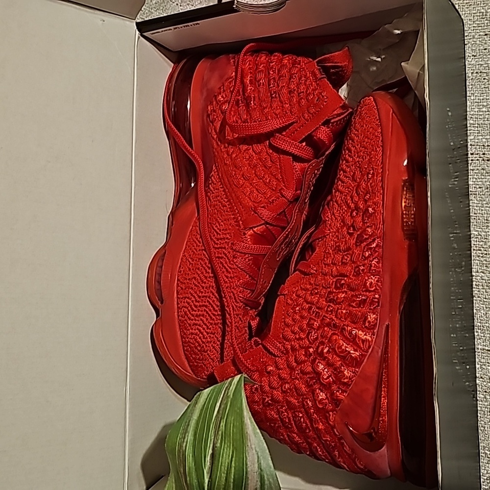 Lightly worn Lebrons